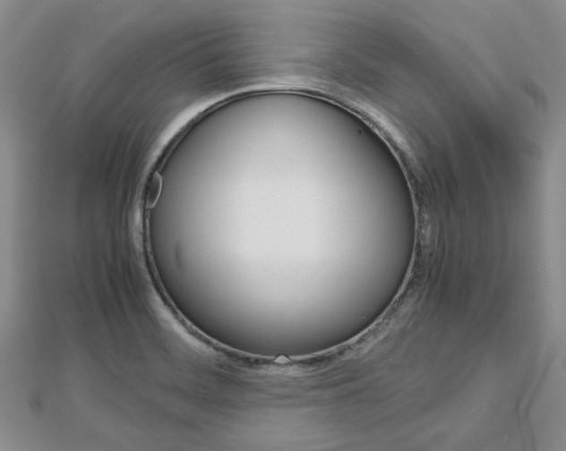 X0000113151468200909040922