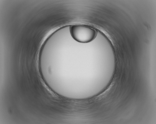X0000113151469200909040922