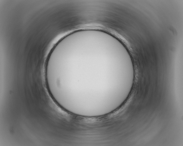 X0000113151470200909040922