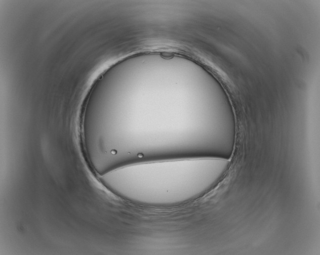 X0000113151471200909040921