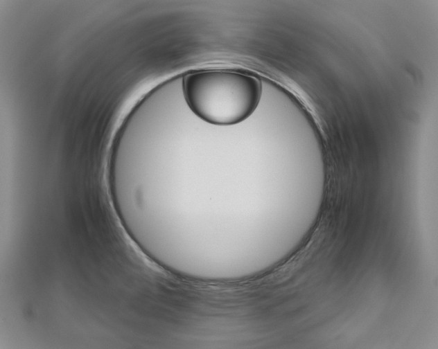 X0000113151472200909040921