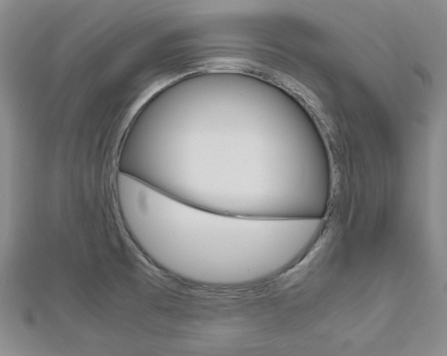 X0000113151473200909040921