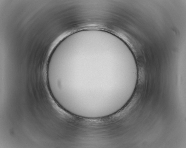 X0000113151474200909040921