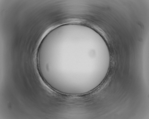 X0000113151475200909040921