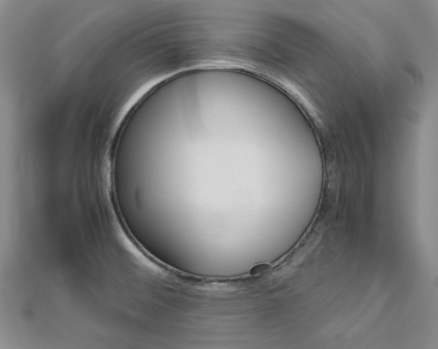X0000113151476200909040921