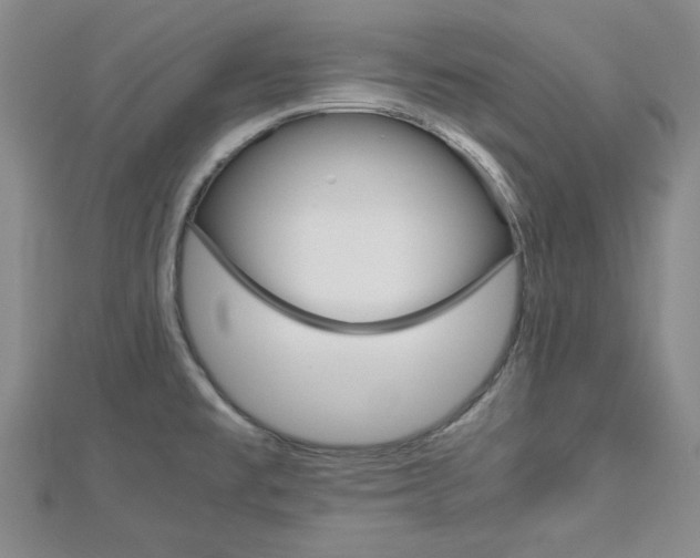 X0000113151477200909040921
