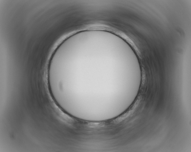 X0000113151478200909040921