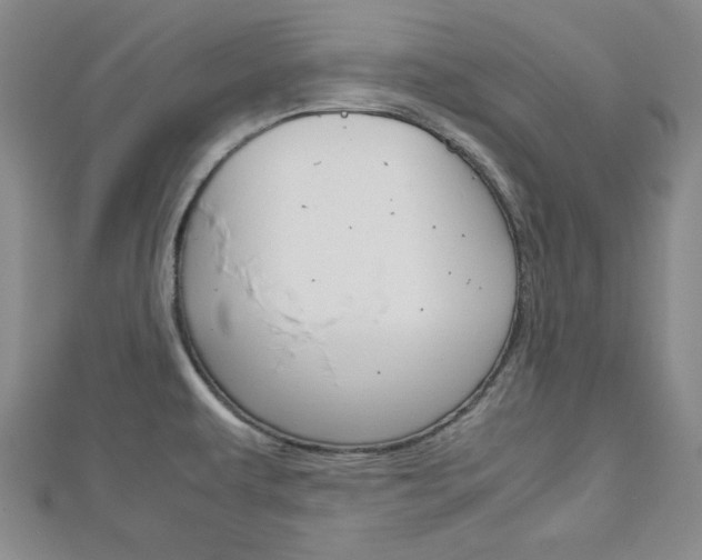X0000113151479200909040921