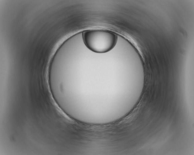 X0000113151480200909040921