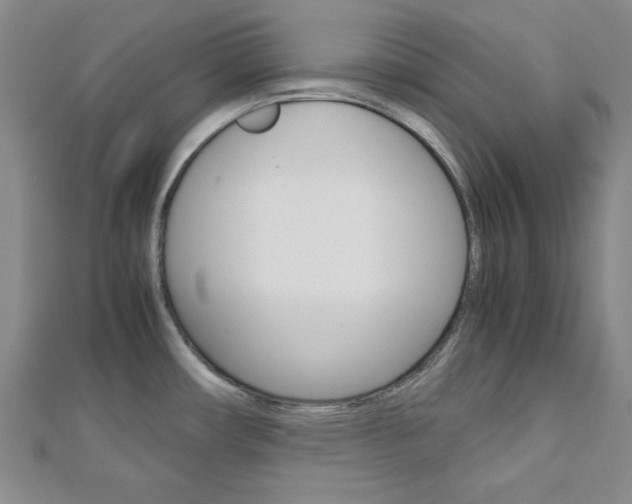 X0000113151482200909040921