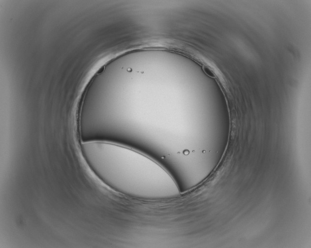 X0000113151483200909040921