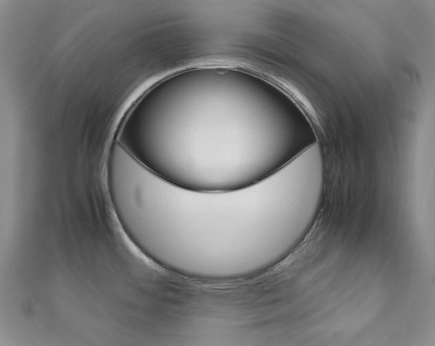 X0000113151484200909040921