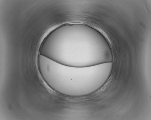 X0000113151485200909040921