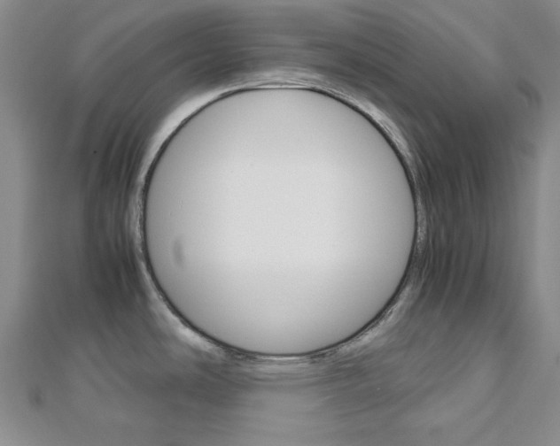 X0000113151486200909040921
