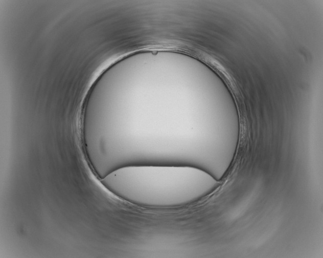 X0000113151487200909040921
