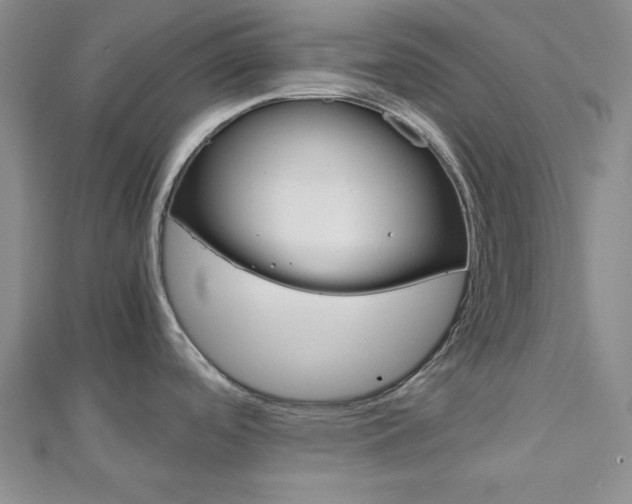 X0000113151488200909040921