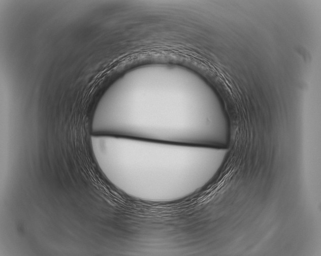 X0000113151490200909040921