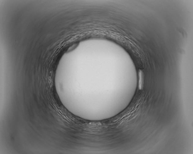 X0000113151491200909040921
