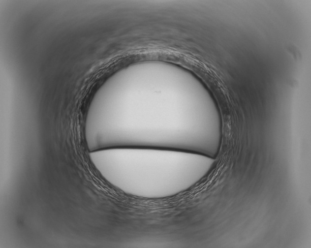 X0000113151493200909040921