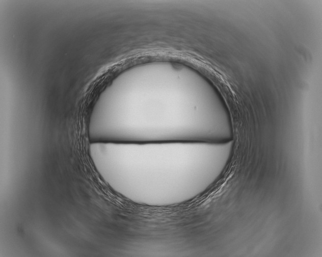 X0000113151494200909040921