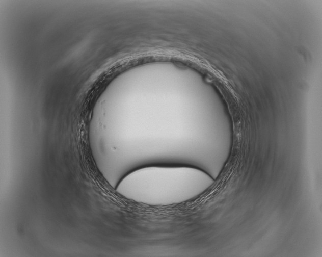 X0000113151495200909040921