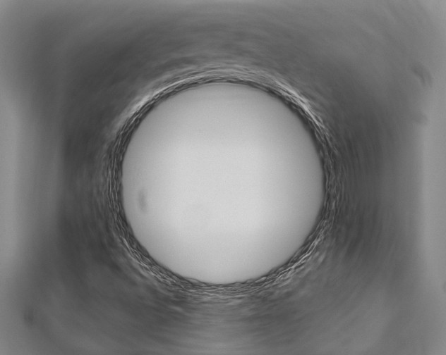 X0000113151496200909040921