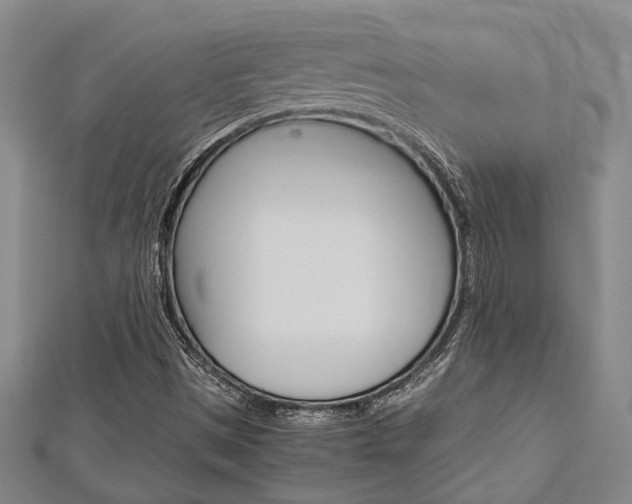 X0000113151497200909040921