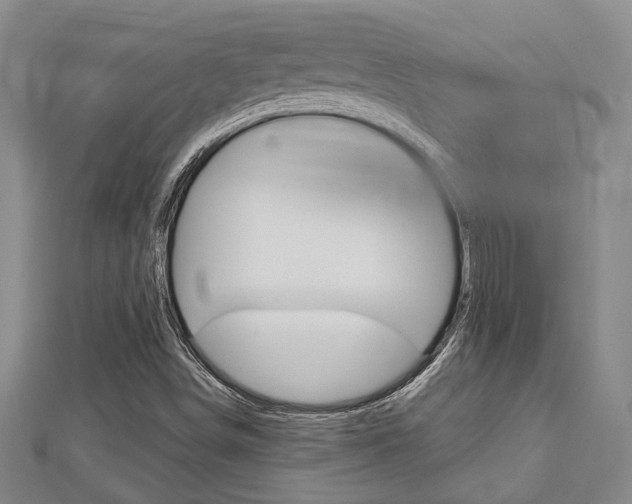 X0000113151498200909040921