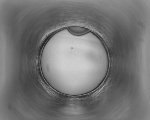 X0000113151499200909040921