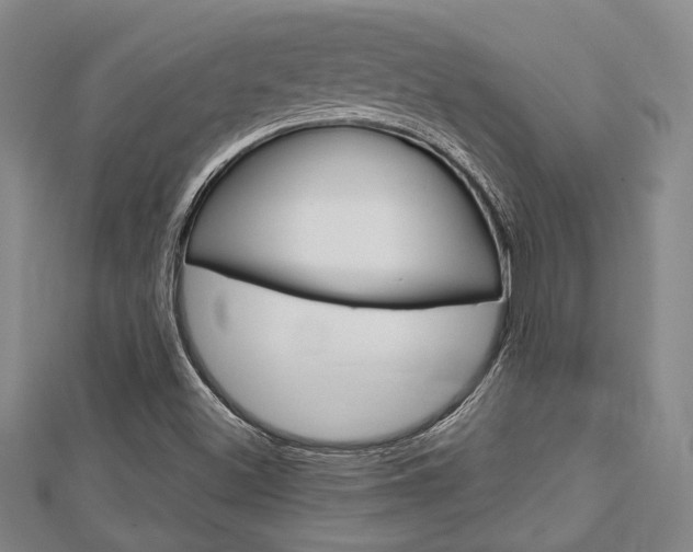 X0000113151500200909040921