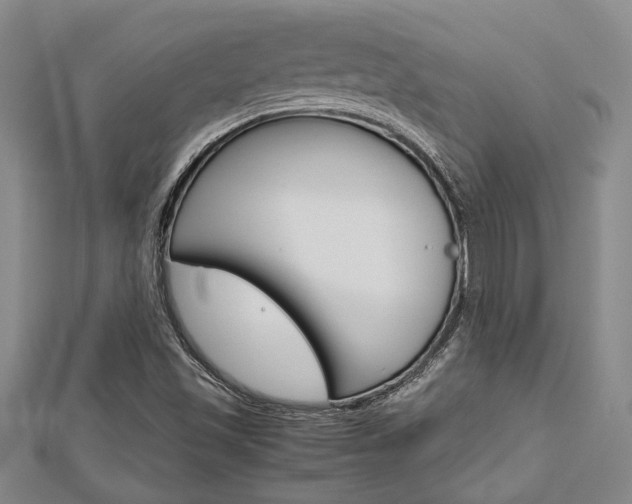 X0000113151501200909040921