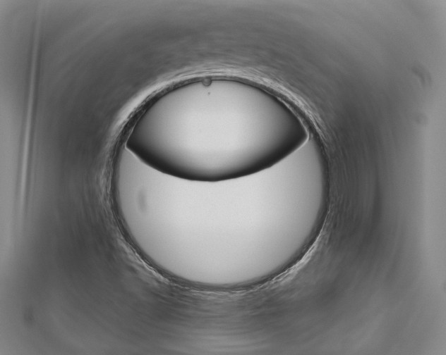 X0000113151502200909040921