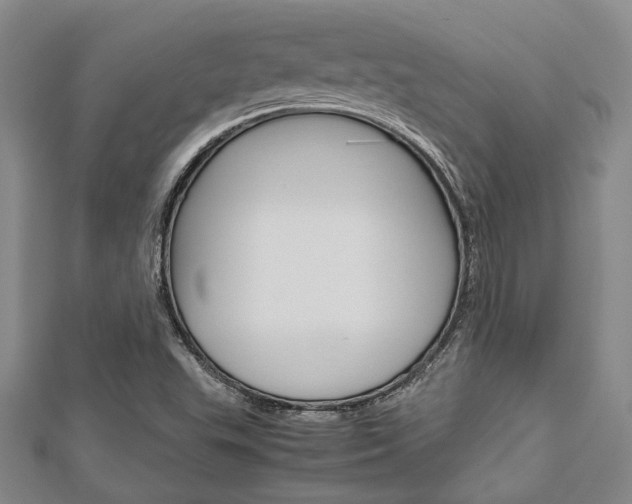 X0000113151503200909040921