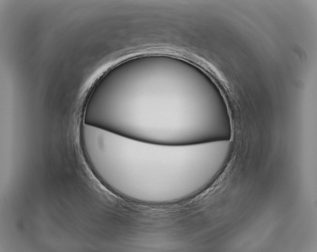 X0000113151504200909040921