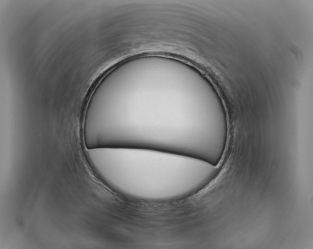 X0000113151505200909040921