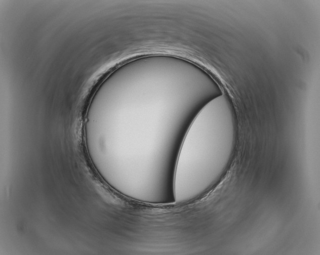 X0000113151507200909040921