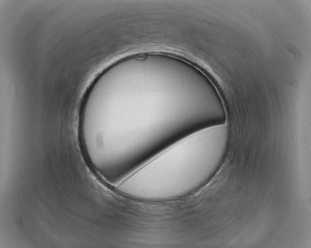 X0000113151508200909040921