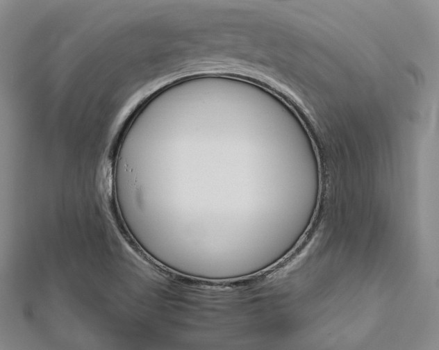 X0000113151509200909040921