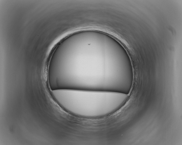 X0000113151510200909040921