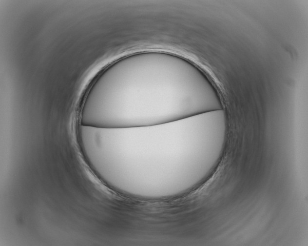 X0000113151511200909040921