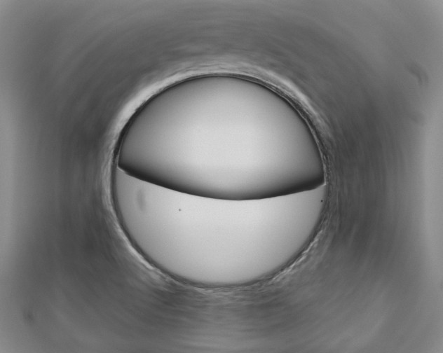 X0000113151512200909040921