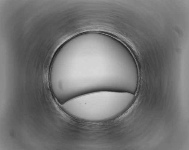 X0000113151513200909040921
