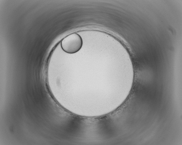 X0000113151514200909040921