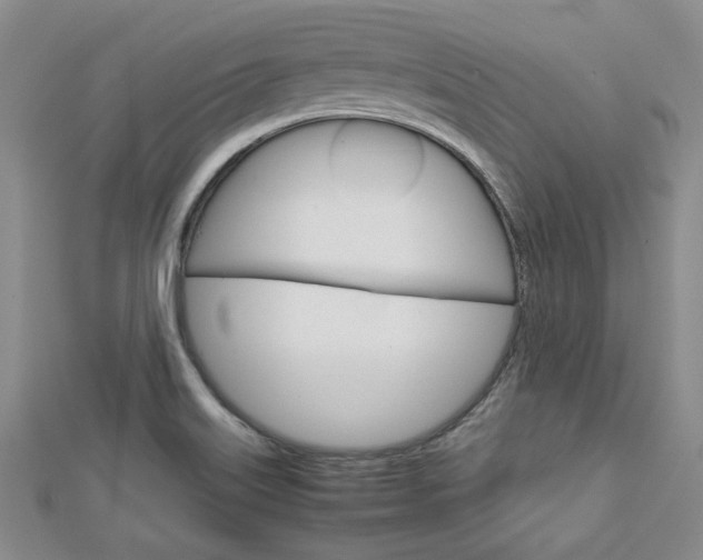 X0000113151515200909040921