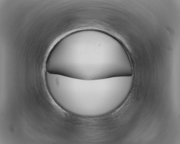 X0000113151516200909040921