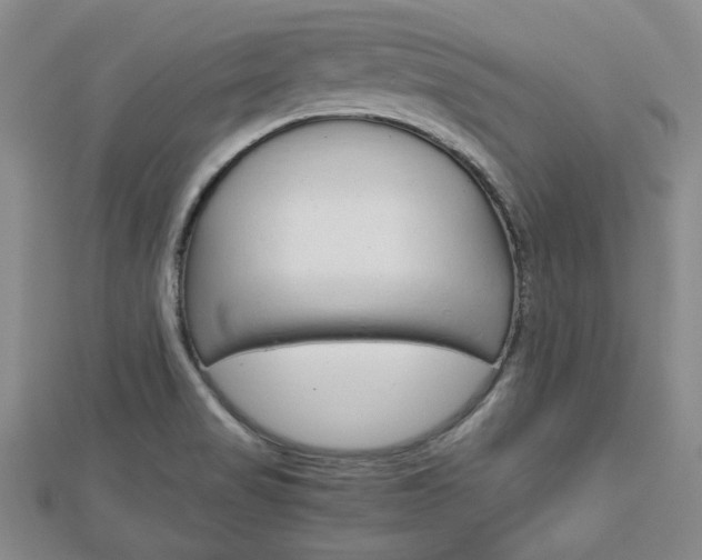 X0000113151517200909040921