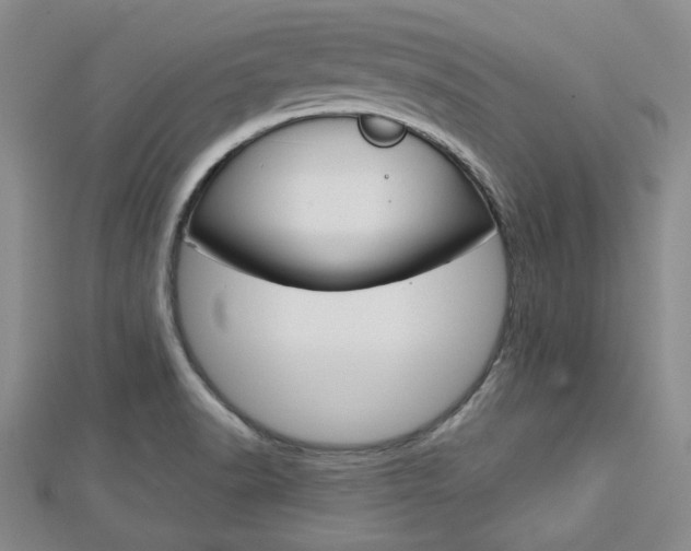 X0000113151518200909040921