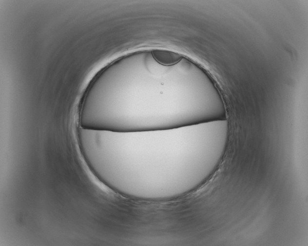 X0000113151519200909040921