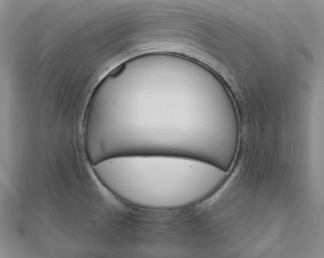 X0000113151521200909040921