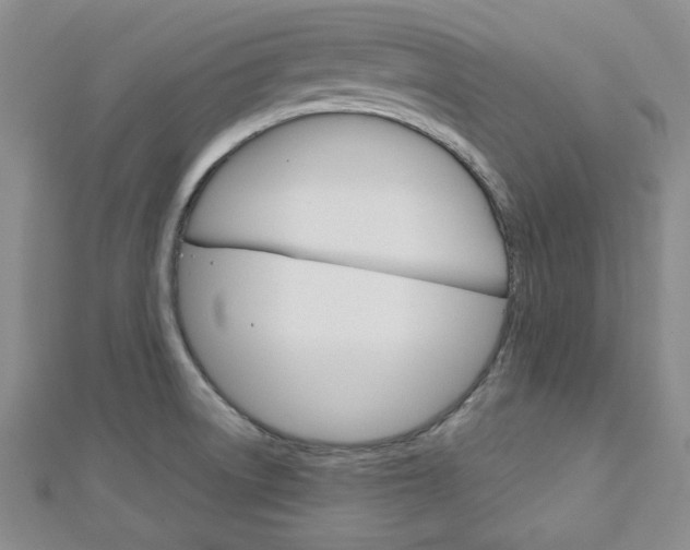 X0000113151522200909040921